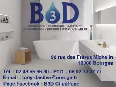 B3D