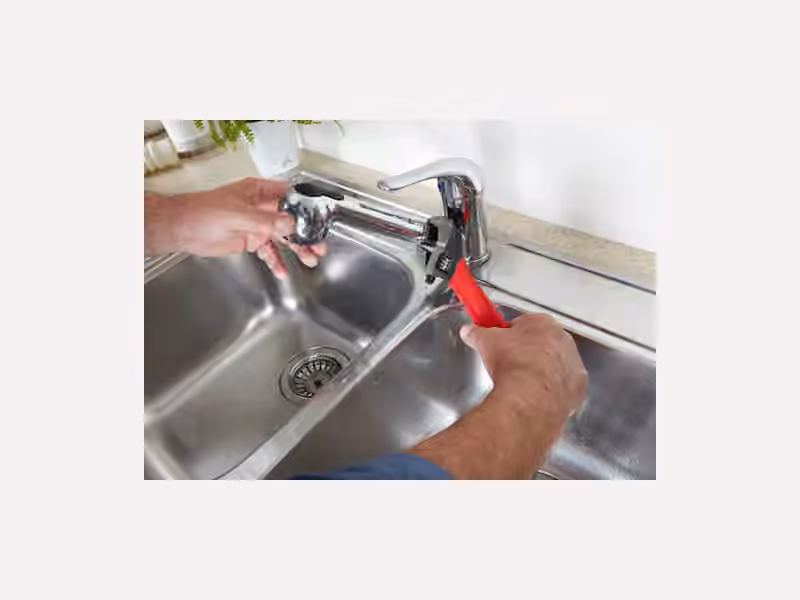 𝗟𝗲𝘀 𝗔𝗿𝘁𝗶𝘀𝗮𝗻𝘀 𝗖𝗼𝗺𝗽𝗮𝗴𝗻𝗼𝗻𝘀